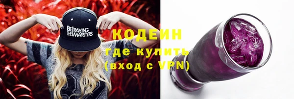 индика Балабаново