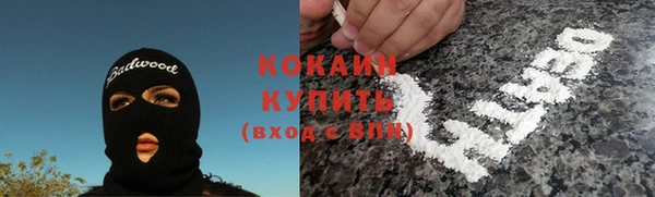 индика Балабаново