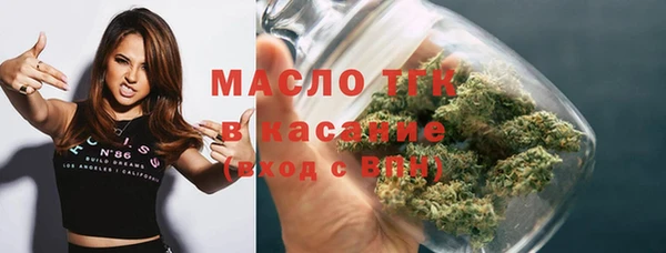 индика Балабаново