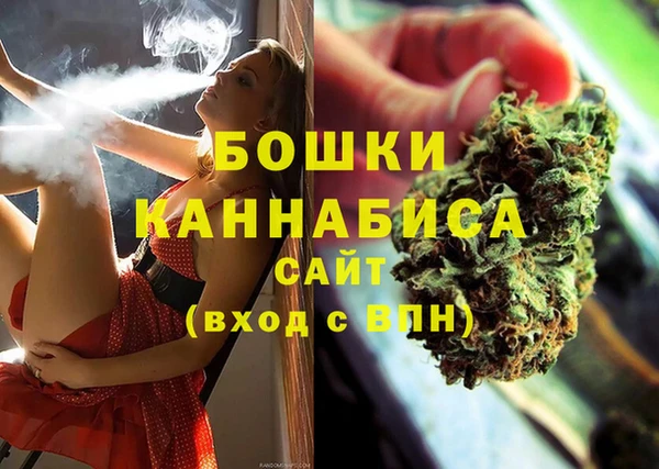 индика Балабаново