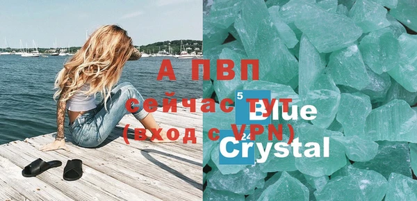 индика Балабаново