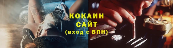 индика Балабаново