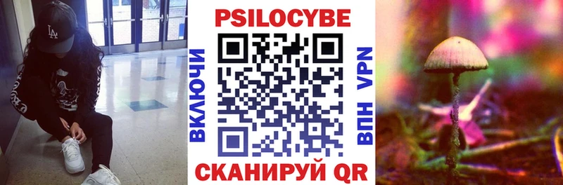 Купить где  Давлеканово  Псилоцибиновые грибы Magic Shrooms 